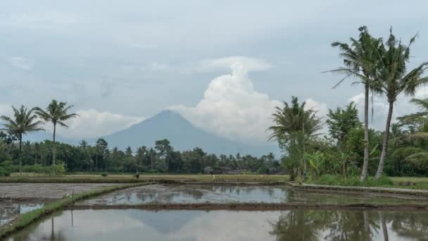 Yogyakarta Magelang Java Indonésia Erupção Ativa Vulcão Monte Merapi Vista — Vídeo de Stock