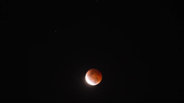 Eclissi Lunare Totale Super Blood Moon Time Lapse Maggio 2021 — Video Stock