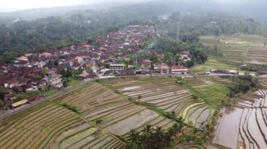 Bali Endonezya 'daki Jatiluwih Rice Terrace Hava Aracı Görünümü - UNESCO Kültür Mirası Pirinç Tarlaları