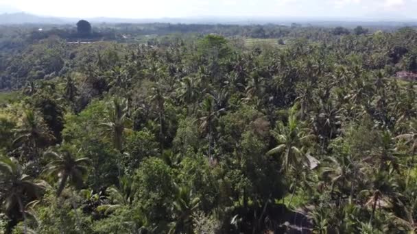 Bali Indonésia Cemitério Chinês Aéreo Drone Mosteiro Koncho Kongco Mais — Vídeo de Stock