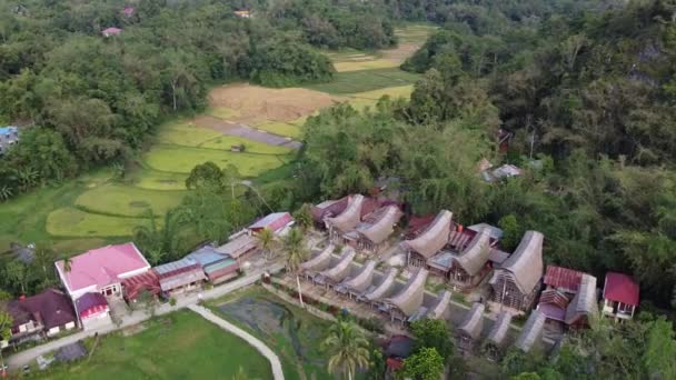North Toraja South Sulawesi Indonésia Vista Aérea Drone Kete Kesu — Vídeo de Stock
