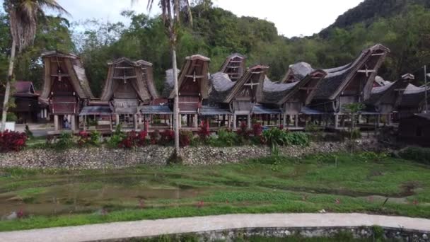 北トラジャ 南スラウェシ インドネシア ケテケスの空中ドローンビュー 最古の伝統的な古代の村Tongkonan — ストック動画