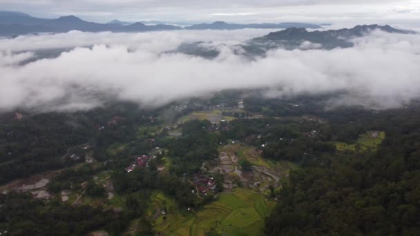 Flygdrönare Utsikt Över Norra Toraja Södra Sulawesi Landskap Mark Ovanför — Stockvideo