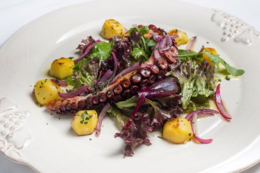 ahtapot salatası kapatın. sığ derinlik-in tarla.