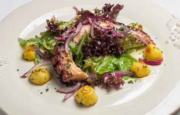 Ensalada de pulpo de cerca. Profundidad superficial del campo . — Foto de Stock