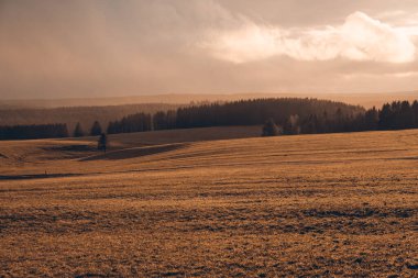 Dağları ve ormanı olan güzel bir manzara. Doğa arkaplanı