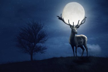 Büyük geyik boynuzuna dolunay takar. Yıldızlarla Gizemli Gece