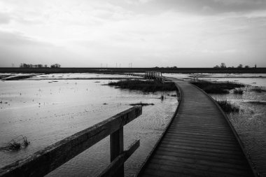 Güzel manzara. Manzara manzarası. Doğa 