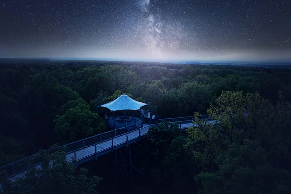 Caminho Superior Árvore Parque Nacional Hainich Sob Céu Estrelado Com — Fotografia de Stock