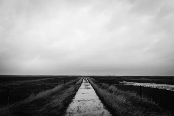 フィールドを通る道路の黒と白の写真 — ストック写真