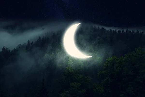 Lua Brilhante Sobre Floresta Pinheiros Escuros — Fotografia de Stock