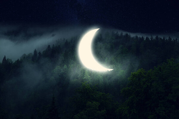 Bright moon over dark pine forest