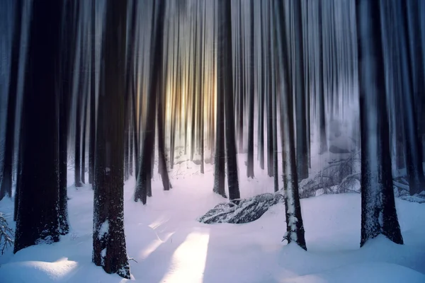 Abstract Winter Landscape Forest Covered Snow — Stock Photo, Image