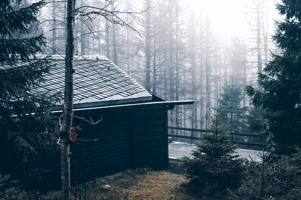 Ein Holzhaus Wald Hintergrund Der Reise — Stockfoto