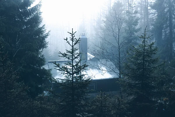 Mattina Inverno Nella Foresta Casa Accogliente Nascosta Tra Gli Alberi — Foto Stock