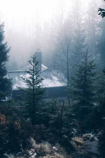 Nebliger Morgen Den Bergen Hintergrund Natur — Stockfoto