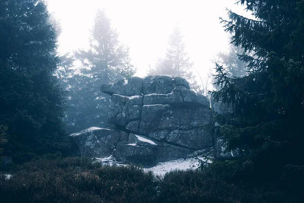 Mistig Winterlandschap Prachtig Winterbos — Stockfoto