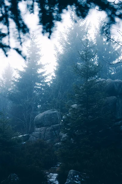 Schöne Landschaft Mit Nebligem Wald Hintergrund Natur — Stockfoto