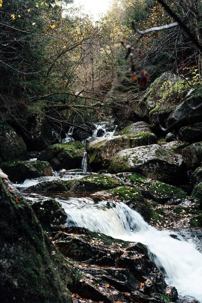 Mountain Waterfall Forest Nature Flora — Stock Photo, Image