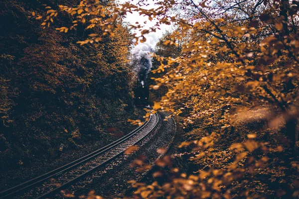 Hermoso Bosque Otoño Con Locomotora Vapor — Foto de Stock