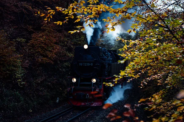 Locomotiva Vapor Com Fumaça Movendo Através Floresta — Fotografia de Stock