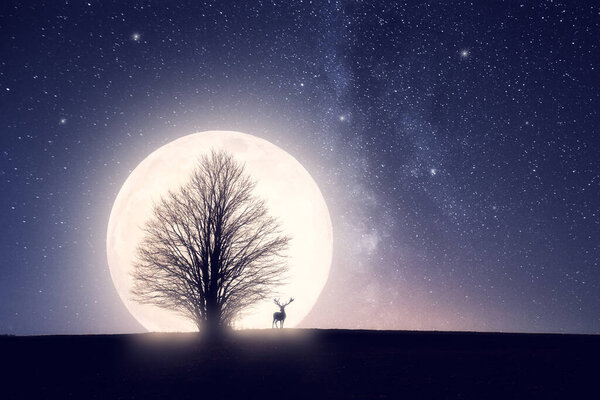 Night full moon, deer and stars