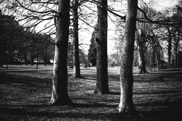 Foto Blanco Negro Del Parque Ciudad — Foto de Stock