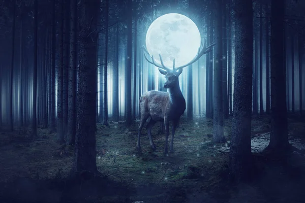 Floresta Escura Com Veados Lua Cheia — Fotografia de Stock