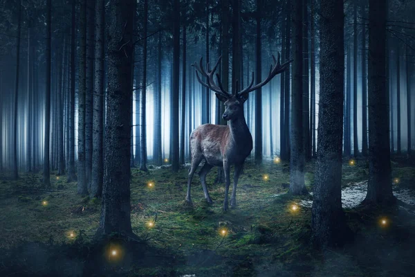 Luces Mágicas Ciervos Bosque Por Noche — Foto de Stock