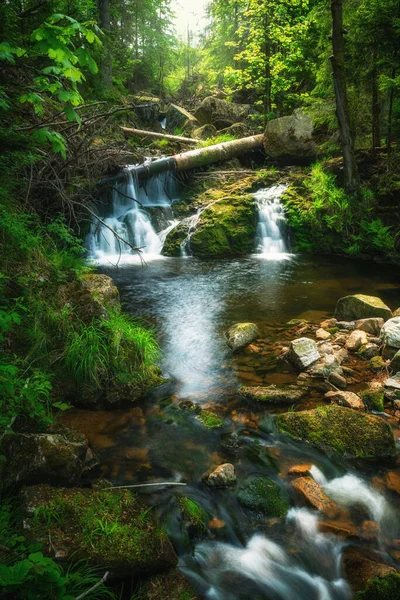 Eine Schöne Aufnahme Eines Wasserfalls Wald Hintergrund Natur — Stockfoto