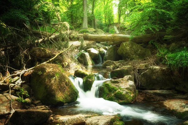 Torrente Veloce Nella Foresta Montagna Natura — Foto Stock