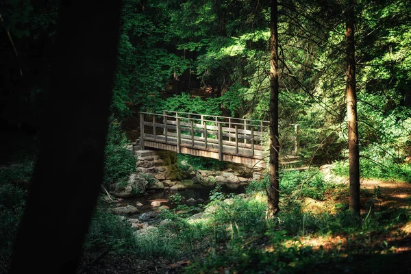 Uma Ponte Madeira Velha Conduz Sobre Ilse Harz Ilsetal — Fotografia de Stock