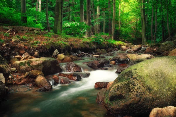 Idyllic Watercourse Fresh Forest Ilsetal Harz — Stock Photo, Image