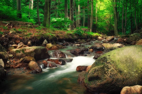 Ilsetal Harz, Taze Orman 'da Idyllic su yolu