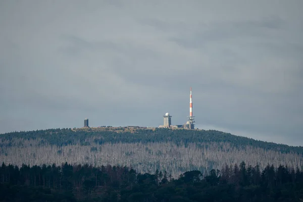 Brocken Com Muita Madeira Morta — Fotografia de Stock