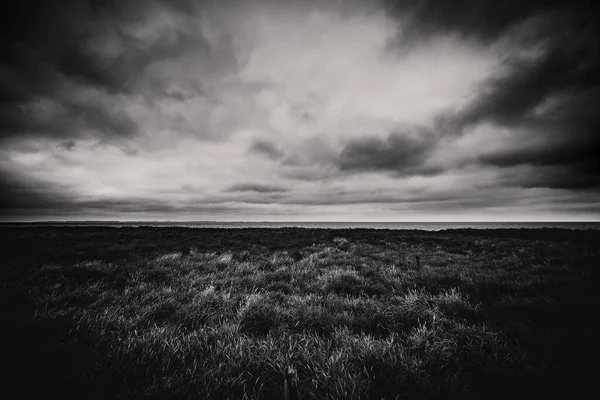 Dunes Meadows Amrum Island — Stock Photo, Image