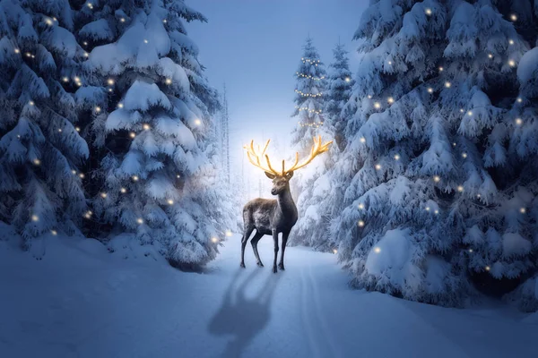 Soğuk bir kış gecesinde Noel için altın boynuzlu geyik