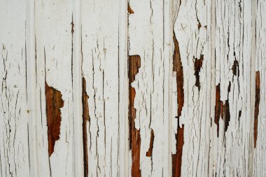 Kırık beyaz boyalı eski ahşap. Arkaplan yapı dokusu