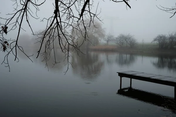Lac Roseaux Tôt Matin Avec Brouillard — Photo