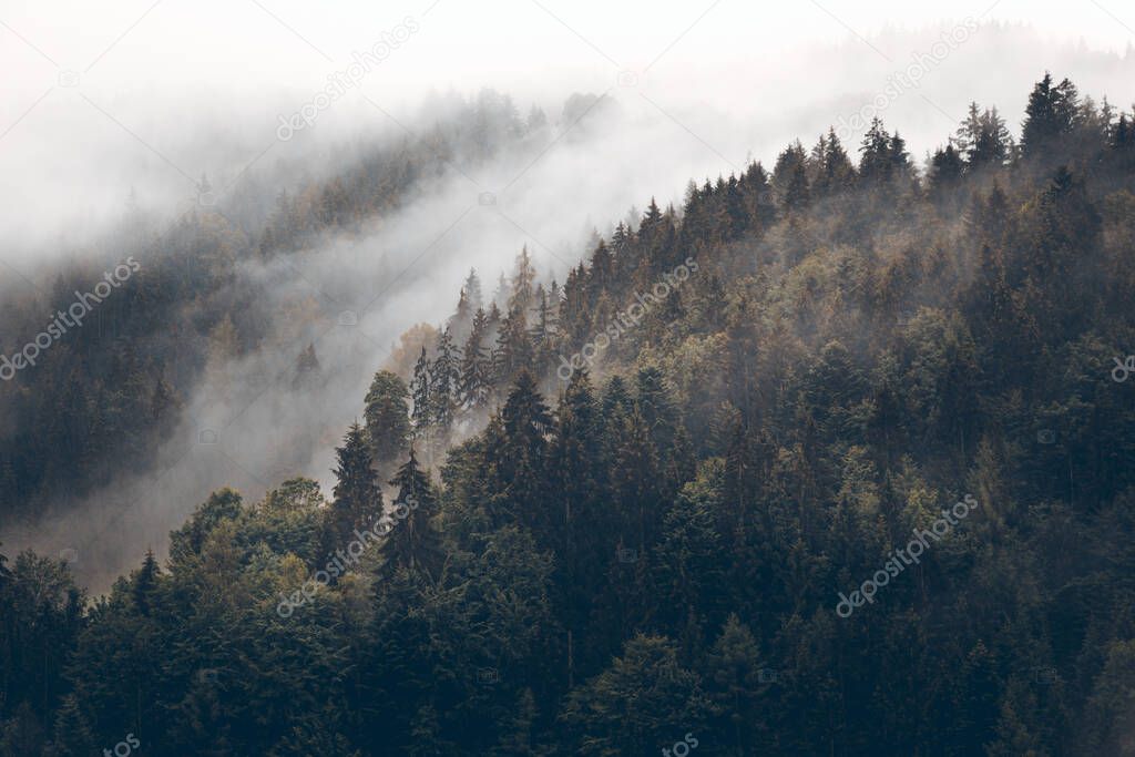 View of the Alps in autumn with fog