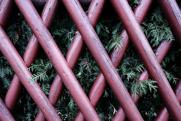 Clôture Bois Rouge Avec Des Plantes Vertes Croissance — Photo