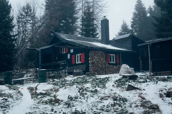 Einsame Hütte Mystischen Harzer Wald — Stockfoto