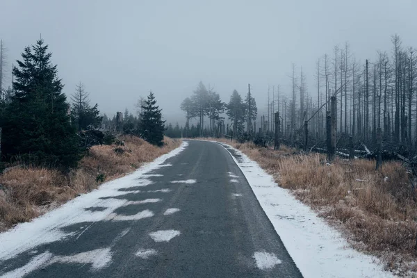 Soğuk Sisli Günlerde Harz Dağlarında Yürüyüş Yapmak — Stok fotoğraf