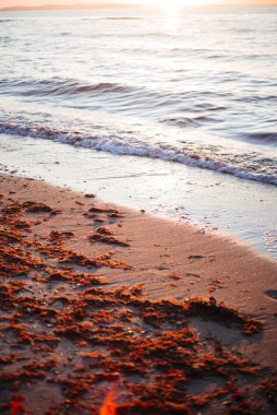 Kumsalda güzel bir gün batımı, doğa sahnesi.