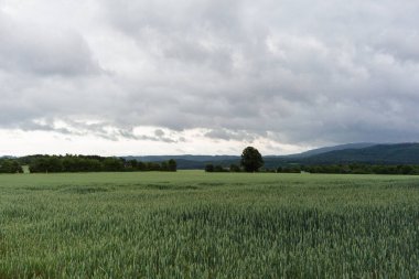 Harz Dağları, Almanya 'daki açık manzaranın manzarası