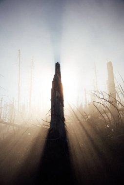 Harz Dağları 'ndaki manzara manzarası