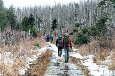 Kış ormanlarında yürüyüş, yolda yürüyen bir grup insan.