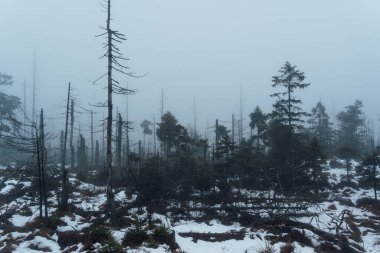 Harz Dağları 'ndaki manzara manzarası