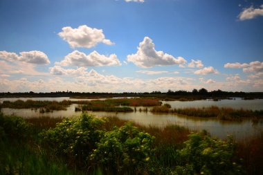 Göl ve bulutlu gökyüzü ile yaz manzarası
