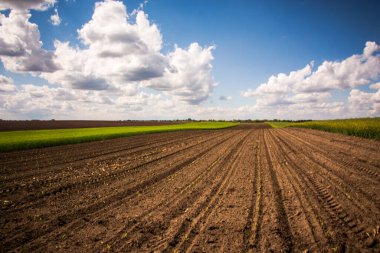 Zirai siyah ve yeşil tarlalar ve bulutlarda gün batımı